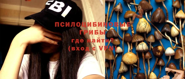 МДПВ Абаза