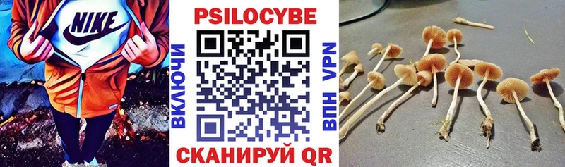Псилоцибиновые грибы Magic Shrooms  где можно купить наркотик  Томари 